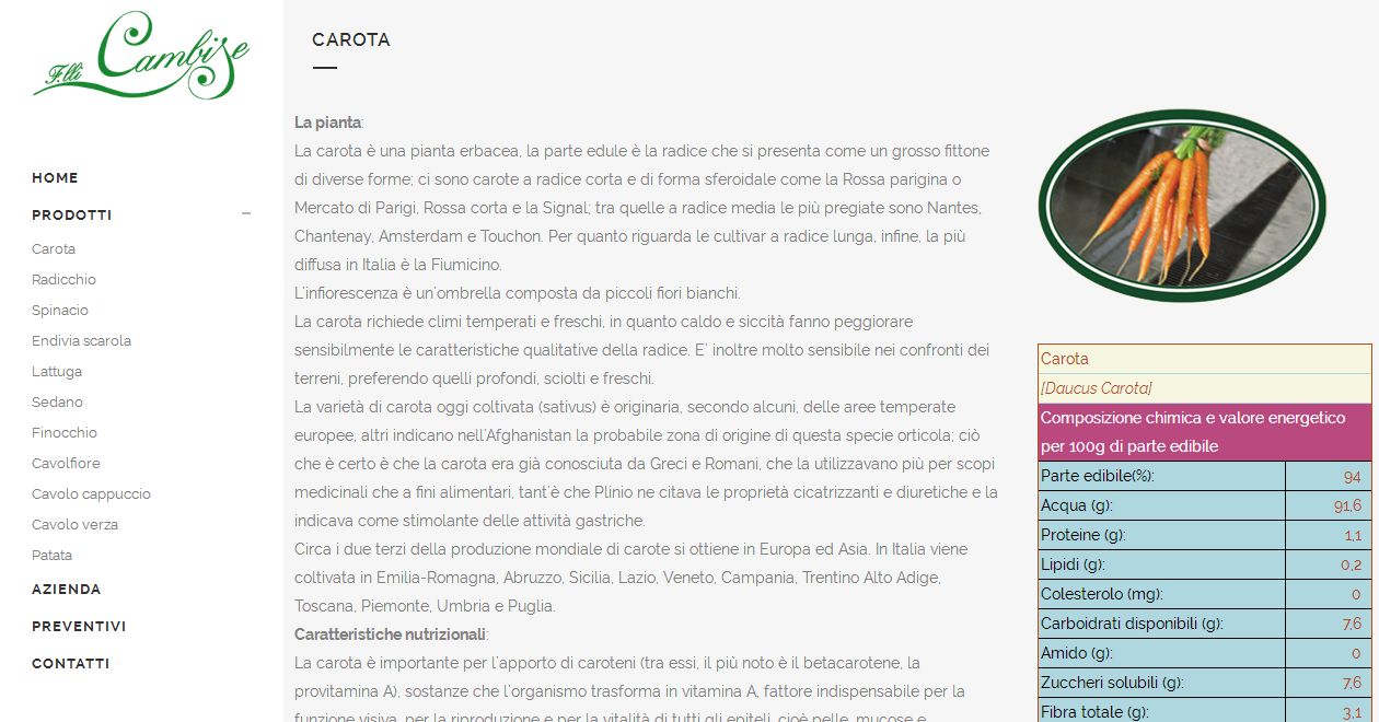 cambise.it | sito web wordpress