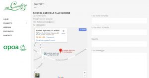 cambise.it | sito web wordpress