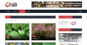 gruit.info | sito web wordpress
