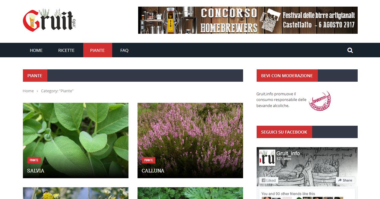 gruit.info | sito web wordpress