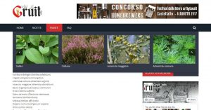 gruit.info | sito web wordpress